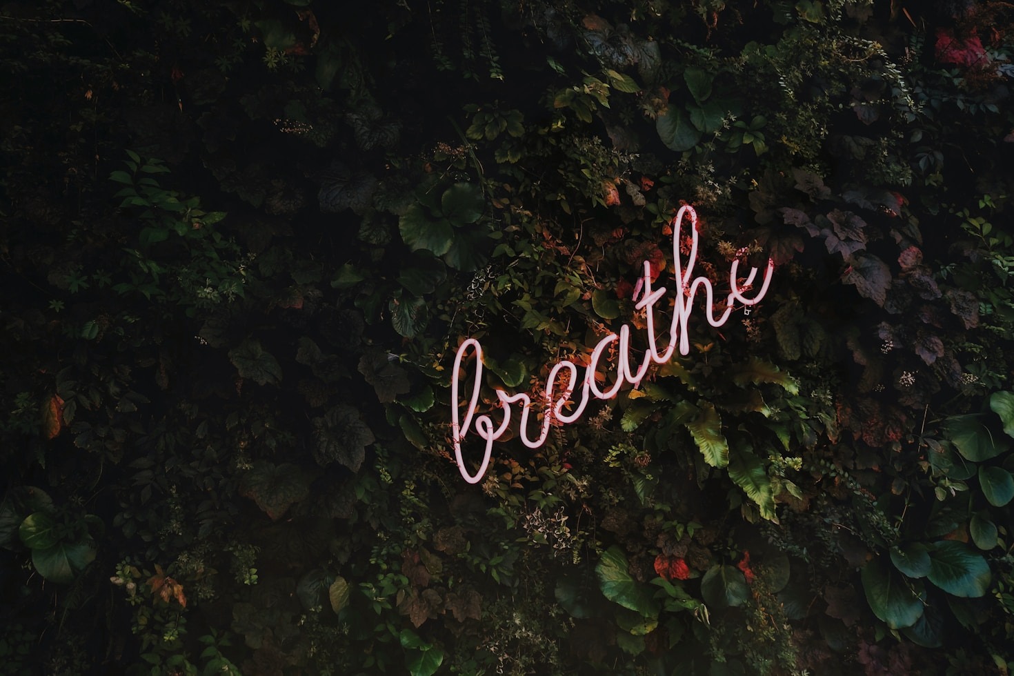 Wege aus der Stressfalle im Alltag